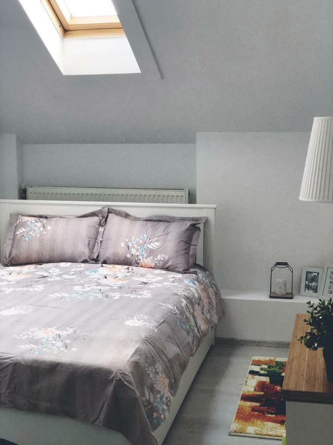 Studio Central Тыргу-Жиу Экстерьер фото